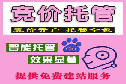 案例解读：网络推广与竞价策略